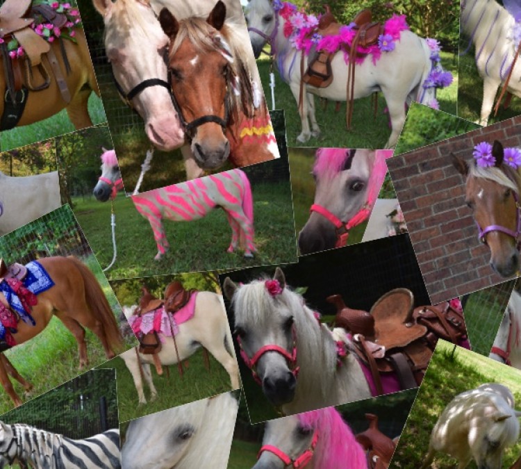Half Pint Pony Parties & Petting Zoo (Bullard,&nbspTX)